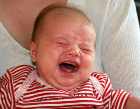 Maya pas contente, 18 juin 07