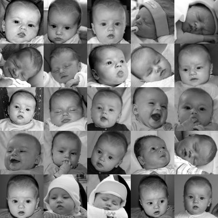 Collage: Maya de la naissance � 5 mois